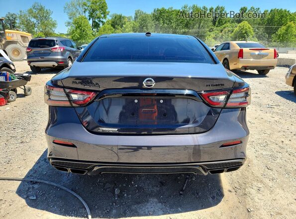1N4AA6FV0MC502492 2021 NISSAN MAXIMA Gray უკანა ხედი