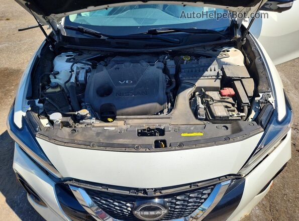 1N4AA6FV1PC503655 2023 NISSAN MAXIMA White Սալոնի հետևի տեսք