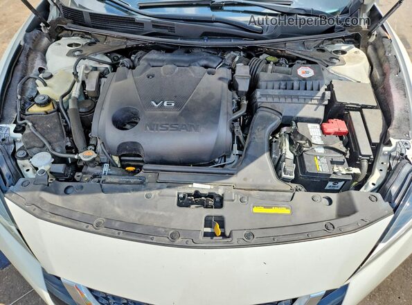 1N4AA6FV3MC504785 2021 NISSAN MAXIMA White უკანა სალონის ხედი