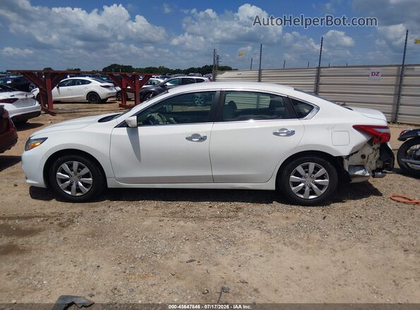 1N4AL3AP3GN306251 2016 NISSAN ALTIMA White Սալոնի 360 աստիճան տեսք