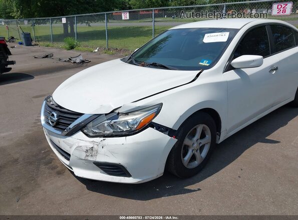 1N4AL3AP3GN362688 2016 NISSAN ALTIMA Белый Вид спереди
