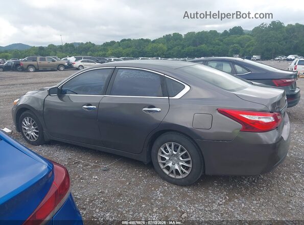 1N4AL3AP6GC239737 2016 NISSAN ALTIMA Champagne სალონის 360-გრადუსიანი ხედი