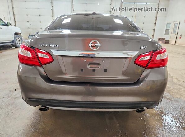 1N4AL3AP6HC142359 2017 NISSAN ALTIMA Brown უკანა ხედი