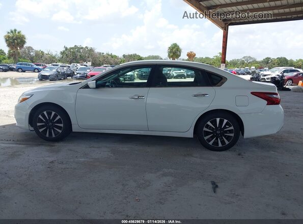 1N4AL3AP9JC241411 2018 NISSAN ALTIMA Белый Панорамный вид салона 360°