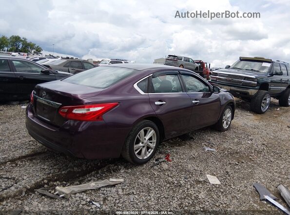1N4AL3APXHN346232 2017 NISSAN ALTIMA Purple Tył prawy