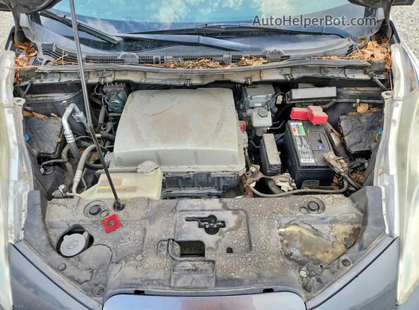 1N4AZ0CP9GC307748 2016 NISSAN LEAF Gray Սալոնի հետևի տեսք