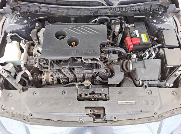 1N4BL4BV0LC220263 2020 NISSAN ALTIMA Gray Սալոնի հետևի տեսք