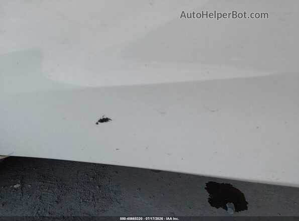 1N4BL4BV1KC259216 2019 NISSAN ALTIMA White Դիմացի տեսք