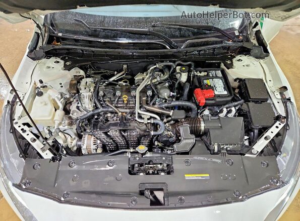 1N4BL4BVXPN368026 2023 NISSAN ALTIMA Белый Вид задней части салона