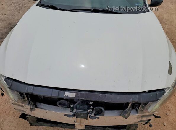 1N4BL4CV7KN313301 2019 NISSAN ALTIMA White Սալոնի հետևի տեսք