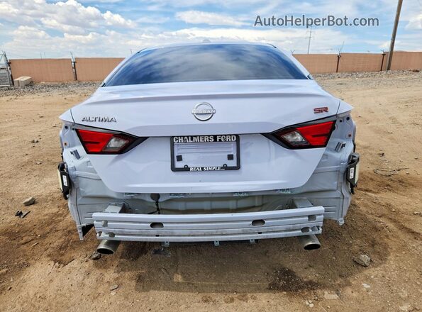 1N4BL4CV7RN312448 2024 NISSAN ALTIMA Gray Вид ззаду