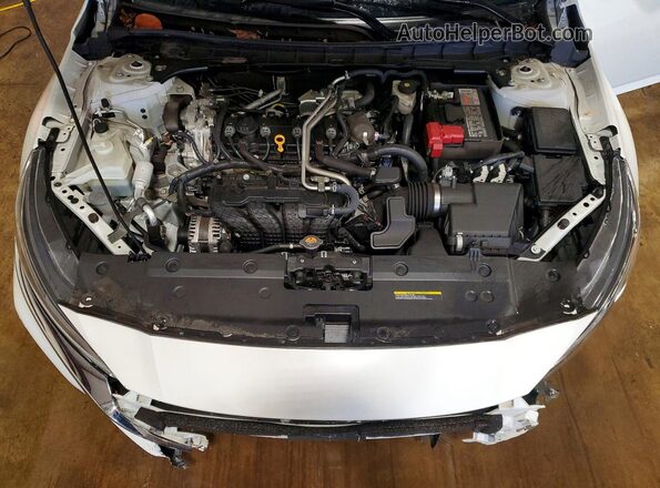 1N4BL4DV6RN339817 2024 NISSAN ALTIMA Белый Вид задней части салона