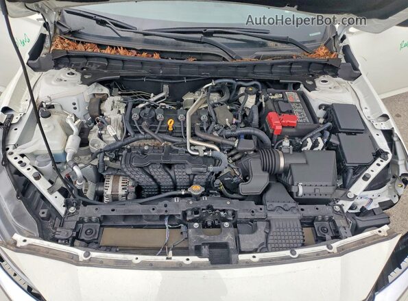 1N4BL4DVXRN407231 2024 NISSAN ALTIMA White Widok wnętrza z tyłu
