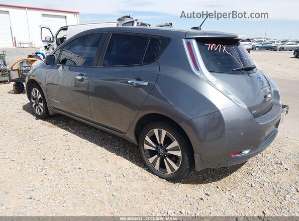 1N4BZ0CP6HC307440 2017 NISSAN LEAF Gray უკანა მარცხენა