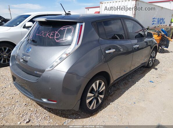 1N4BZ0CP6HC307440 2017 NISSAN LEAF Gray უკანა მარჯვენა