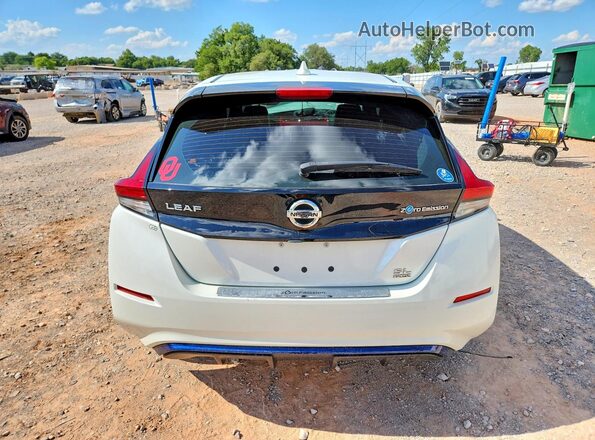 1N4BZ1CP3KC310891 2019 NISSAN LEAF Белый Вид сзади