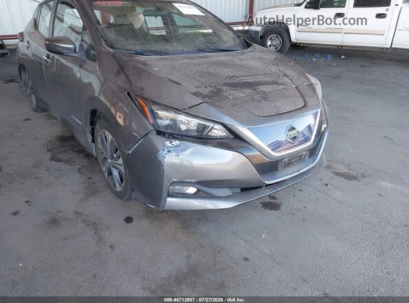 1N4BZ1CPXKC320673 2019 NISSAN LEAF Gray 
