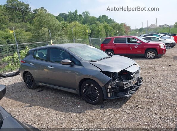 1N4CZ1CV6PC555419 2023 NISSAN LEAF Gray Панорамний вид салону 360°