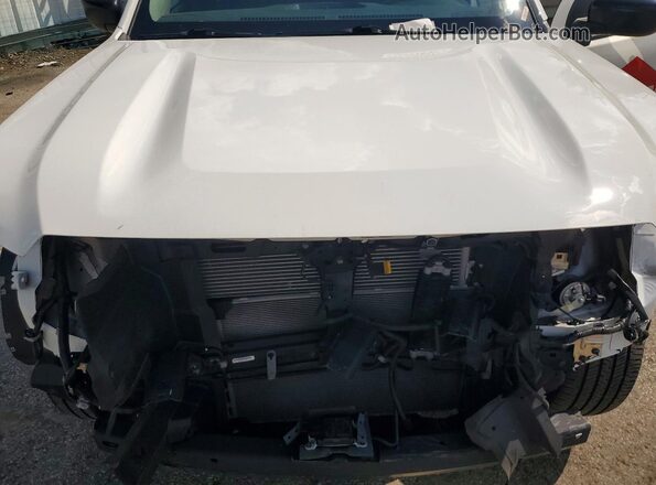 1N6ED1CL5RN633189 2024 NISSAN FRONTIER White უკანა სალონის ხედი