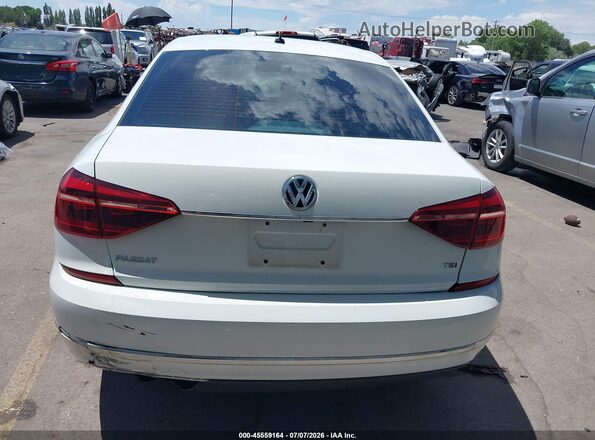 1VWAT7A36HC064676 2017 VOLKSWAGEN PASSAT Белый 