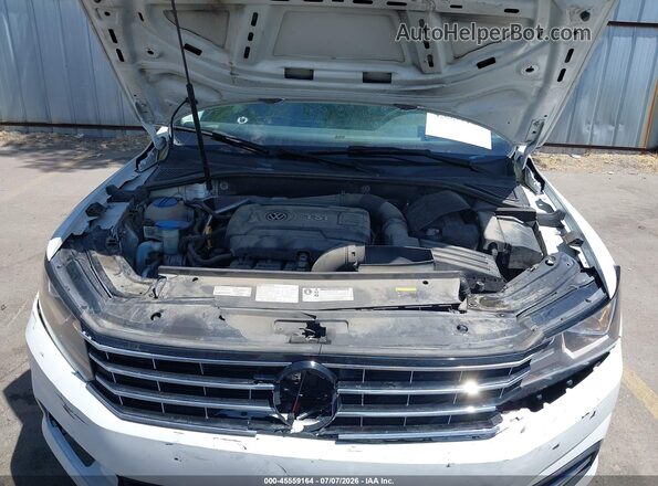 1VWAT7A36HC064676 2017 VOLKSWAGEN PASSAT Белый Вид сзади
