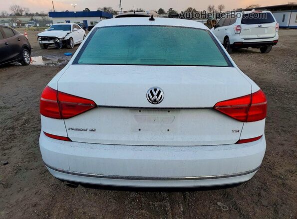 1VWBS7A39GC023822 2016 VOLKSWAGEN PASSAT White Widok z tyłu