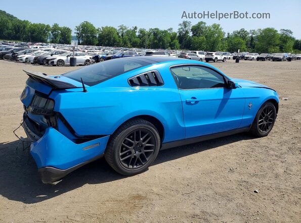 1ZVBP8AM4C5215485 2025 FORD MUSTANG Blue უკანა მარჯვენა