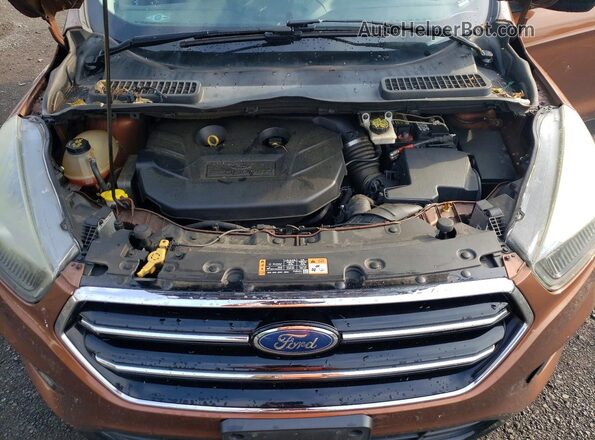 1FMCU9G9XHUB48182 2017 FORD ESCAPE Orange Vista de la etiqueta del VIN