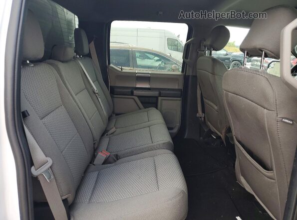1FTFW1E52LFB17485 2020 FORD F150 White Вид задньої частини салону