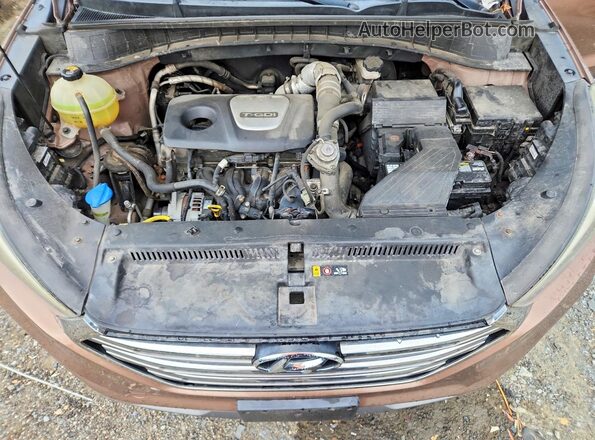 KM8J3CA22GU041905 2016 HYUNDAI TUCSON Brown VIN sticker view