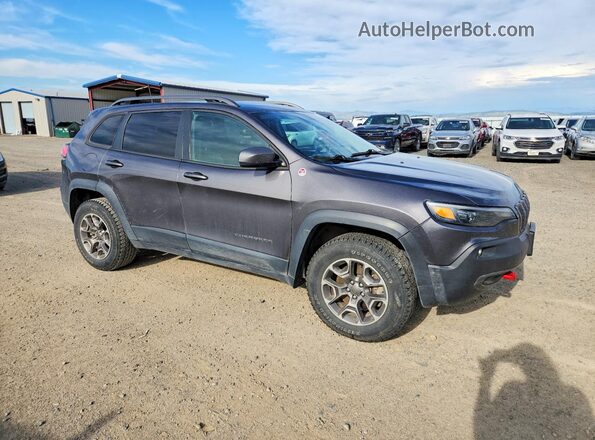 1C4PJMBN0LD642811 2020 JEEP CHEROKEE Charcoal Widok z przodu
