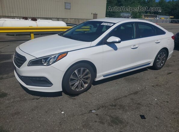 5NPE34AF4GH274712 2016 HYUNDAI SONATA White უკანა მარცხენა