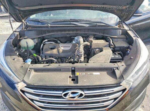 KM8J3CA20HU598586 2017 HYUNDAI TUCSON Black Widok naklejki z numerem VIN