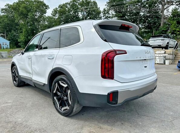 5XYP64GC4SG639970 2025 KIA TELLURIDE White Tył prawy