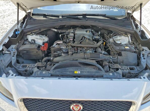 SADCK2GX0KA390654 2019 JAGUAR F-PACE White Widok naklejki z numerem VIN