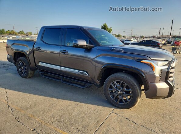 5TFNC5DB9SX103272 2025 TOYOTA TUNDRA Gray Դիմացի տեսք