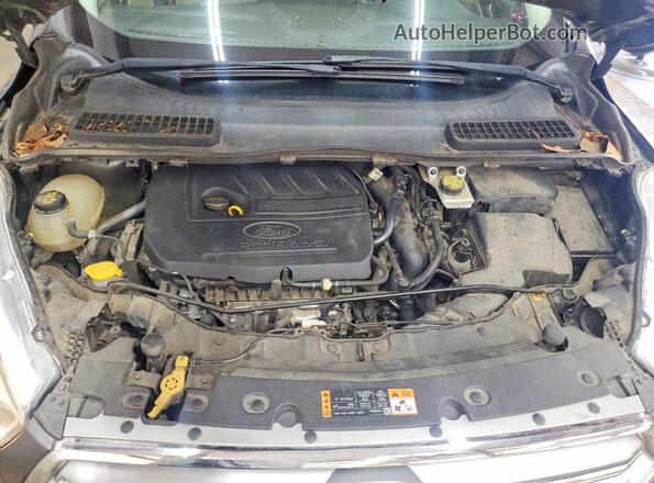 1FMCU0GD9HUB90908 2017 FORD ESCAPE Gray Вид наклейки з VIN-кодом