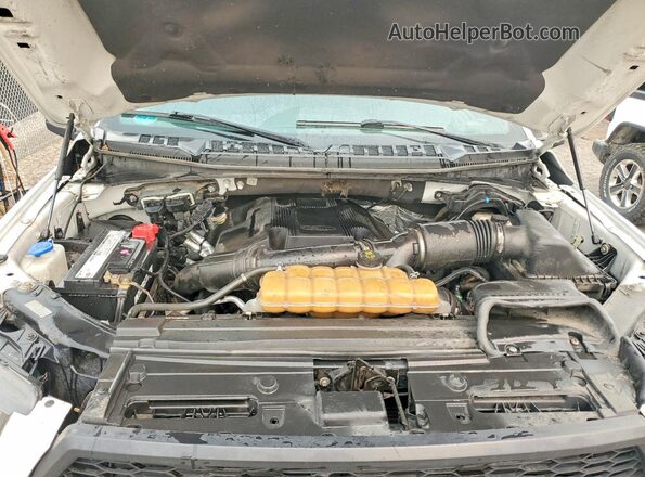 1FTEW1EG4HFB95299 2017 FORD F150 White Widok komory silnika
