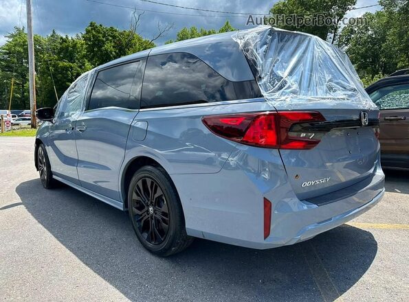 5FNRL6H75SB053736 2025 HONDA ODYSSEY Blue Rear right