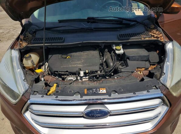 1FMCU9GDXHUC03007 2017 FORD ESCAPE Оранжевый Вид наклейки с VIN-кодом