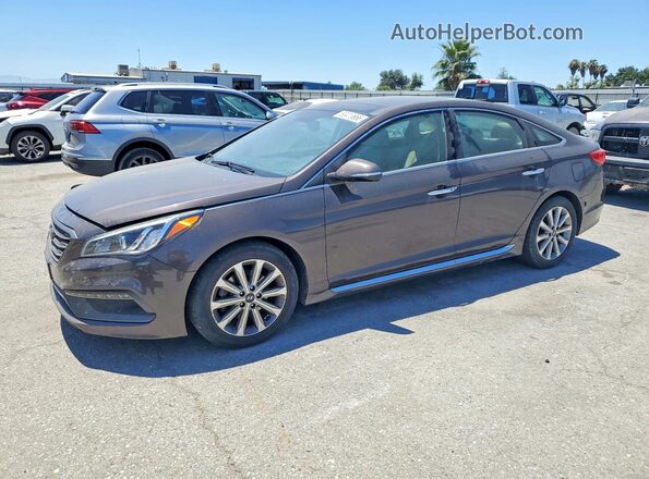 5NPE34AF4GH431302 2016 HYUNDAI SONATA Gray Rear left