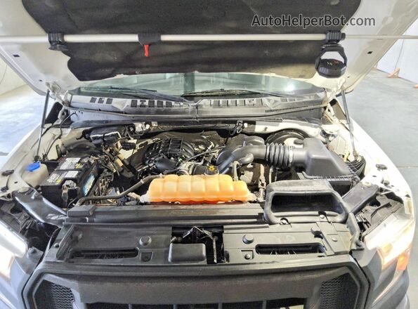 1FTMF1C85HKD20339 2017 FORD F150 White Widok komory silnika