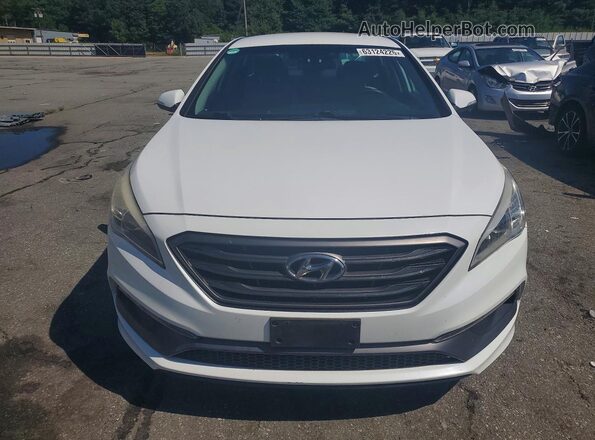 5NPE34AF4GH274712 2016 HYUNDAI SONATA White უკანა ხედი