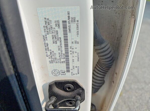 1FTFW1EF1GFB38245 2016 FORD F150 Белый Вид задней части салона