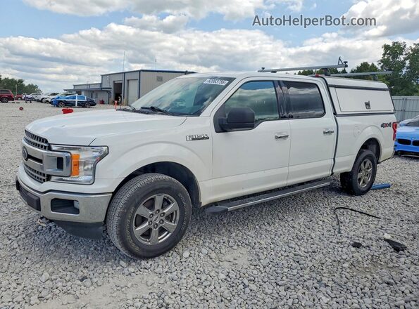 1FTFW1E52LFB17485 2020 FORD F150 White Задня ліва чверть