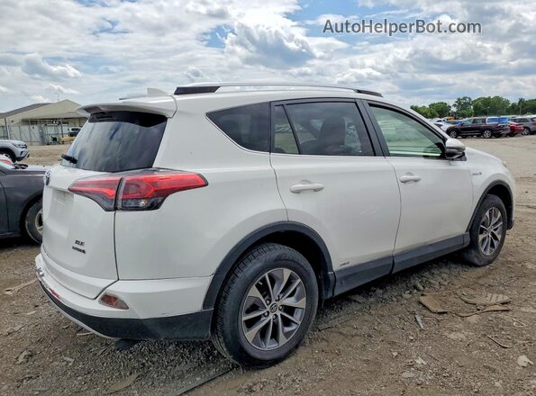 JTMRJREV2GD033095 2016 TOYOTA RAV4 White Delantero derecho