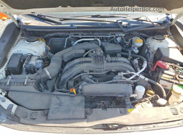 JF2GTAEC8K8294011 2019 SUBARU CROSSTREK White Vista de la etiqueta del VIN