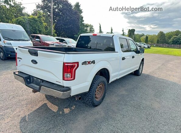 1FTFW1EF1GFB38245 2016 FORD F150 Белый Вид спереди