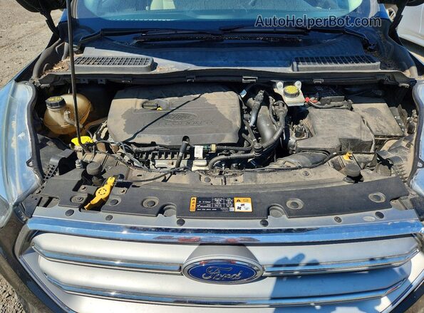 1FMCU9GD4HUD14071 2017 FORD ESCAPE Black VIN կոդի պիտակի տեսք