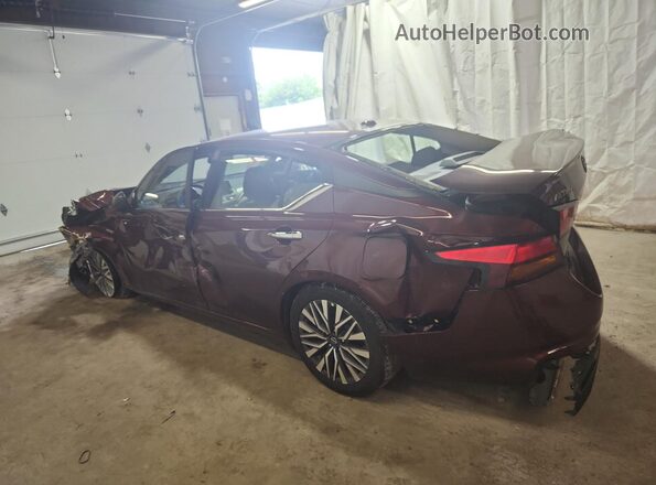 1N4BL4DVXRN431027 2024 NISSAN ALTIMA Purple 